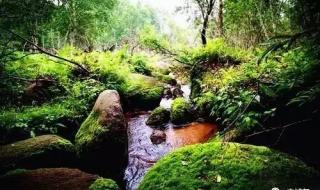 五一适合去哪里旅游