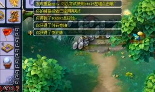 梦幻西游摇钱树攻略