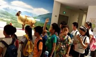 李阳从零开始学英语