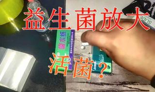 益生菌是什么样子的