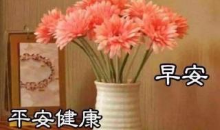 这是一个晴朗的早晨