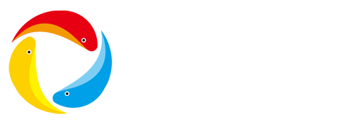 梦蝶号